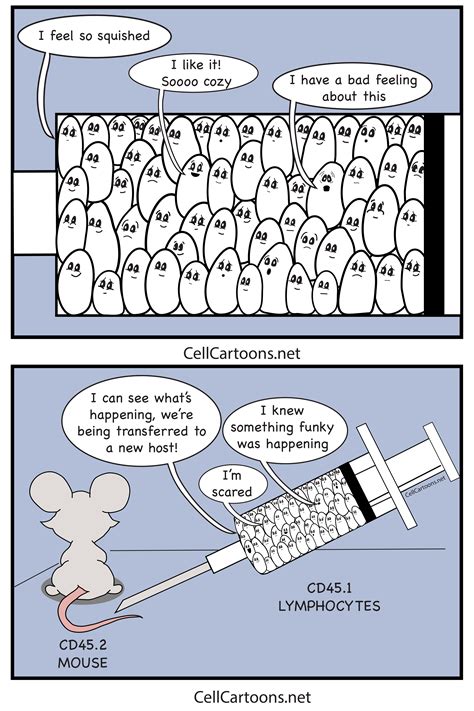 Image result for Cell Adaptation Cartoon