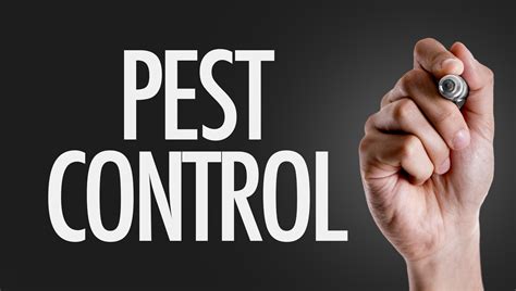 5 Benefits of Using a Quarterly Pest Control Service - Prodigy Pest Solutions