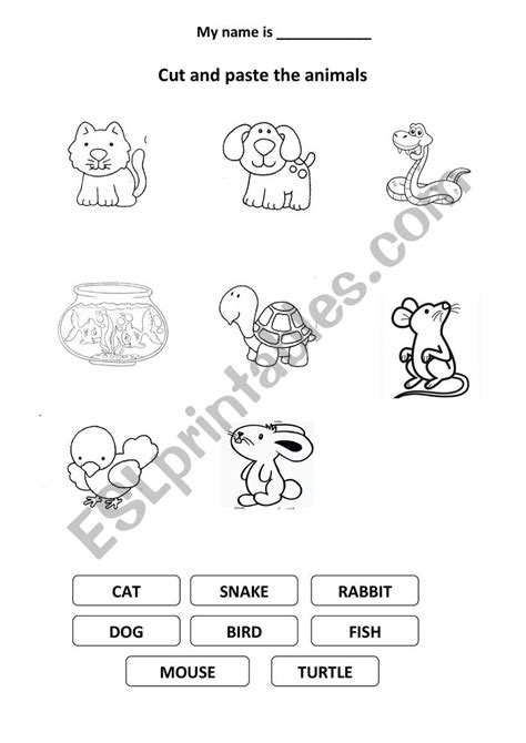 Pets Worksheet 的图像结果