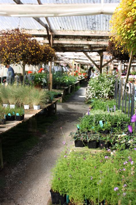 Half.moon Bay Nursery at John Halliburton blog