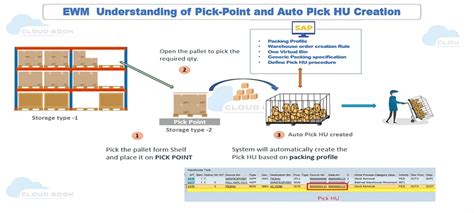EWM: Auto Pick HU scenario - Consulting
