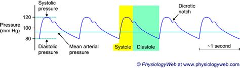 Normal Mean Arterial Pressure