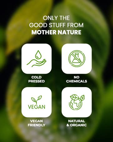 Buy Aromatique Argan Oil, Argan Oil for Hair Growth Strengthen Dull ...