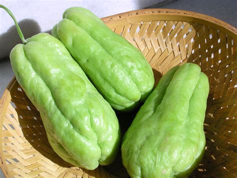 beneficios del chayote o guisquil para adelgazar | Aliments bons pour ...