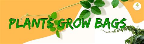 Go Garden Plastic UV Protected Poly Grow Nursery Plant Bags | Plant ...