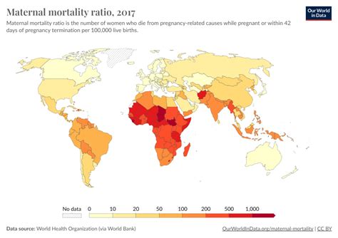 Maternal Mortality Ratio 的图像结果