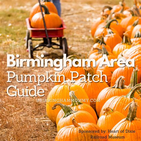 Birmingham Area Pumpkin Patch Guide - Birmingham Mommy