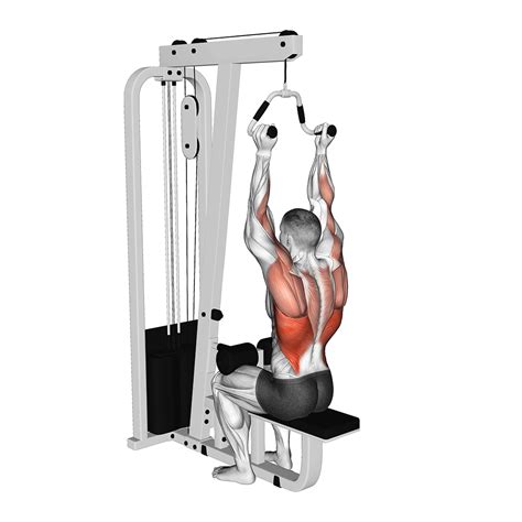 Neutral Grip Lat Pulldown Bar Sale Purchase | dpise2022.dps.uminho.pt