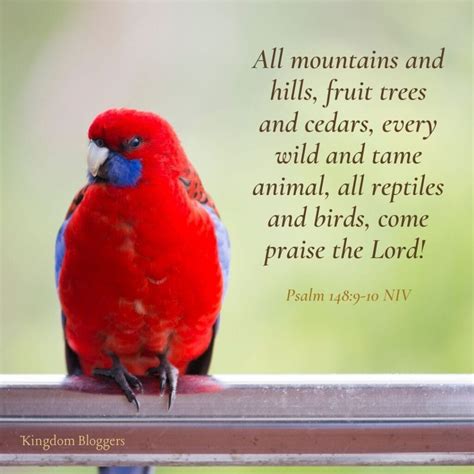 Biblical Bird Quotes