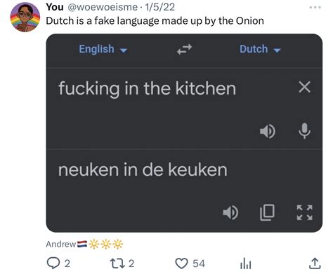 Dutch Language Example 的图像结果