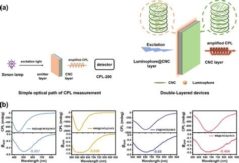 Exploring the Core Parameters of CNC-Based Chiral Nematic Structures for Enhancing the ...