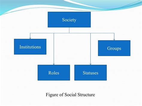 Social Structure 的图像结果