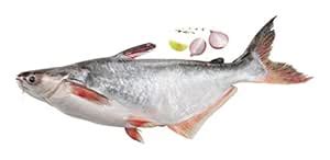 Pescafresh Indian Basa - Skinless Fillets, 500g Pack : Amazon.in ...