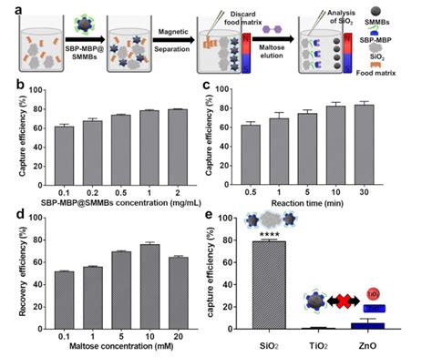 Synthetic Ligand-Coated Starch Magnetic Microbeads for Selective ...