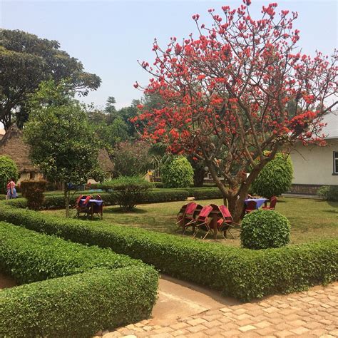 FOUR STEPS HOTEL (Butare) - Hotel Reviews & Photos - Tripadvisor