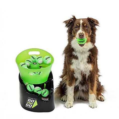 Go Dog Go Fetch Machine 的图像结果