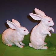 Image result for Albino Bugs Bunny