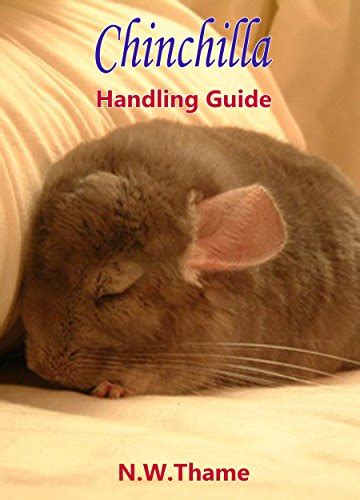 Chinchilla Handling Guide: The Complete Chinchilla Care Guide.How to ...