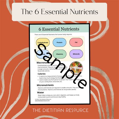 Is Fiber One Of The Six Essential Nutrients at Mark Cortese blog