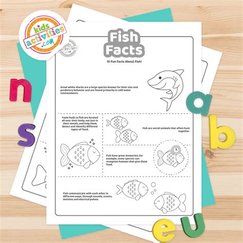 Image result for Fish Facts