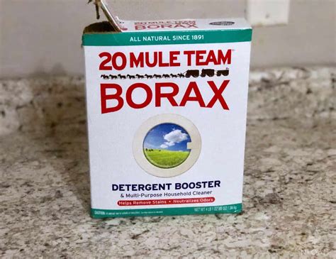 39 Uses for Borax in and Around Your Home