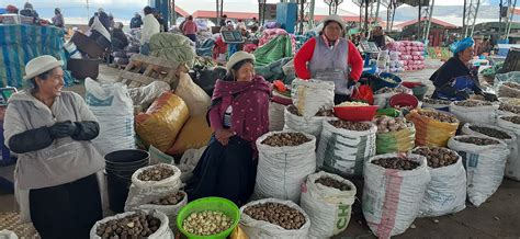 Ajo ‘macho’ alcanzó precio récord este año en mercado de Ambato ...