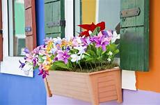fiori invernali per balconi come arredare il balcone con i fiori non sprecare fiori invernali per balconi come arredare il balcone con i fiori non sprecare