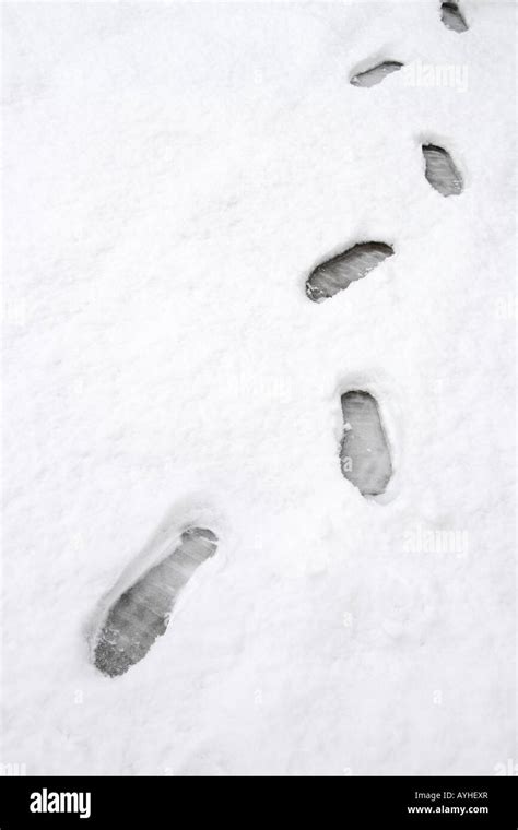 Image result for Snow Runner Step Sides