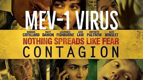 盘点25年疫情题材电影，当病毒成为主角，有这些新发现……_腾讯新闻