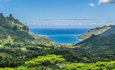Moorea Island Safari | Moorea Shore Excursion | French Polynesia Cruise ...