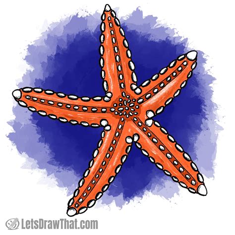 Starfish Drawing