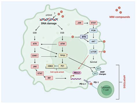 Genotoxicity of Novel Pyrazolo[4,3-e]tetrazolo[1,5-b][1,2,4]triazine ...