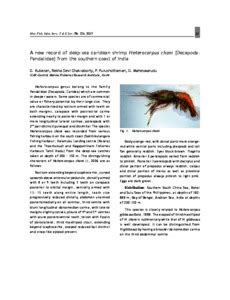 A new record of deep-sea caridean shrimp Heterocarpus chani (Decapoda ...
