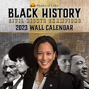 Black History: Civil Rights Champions : Amazon.in