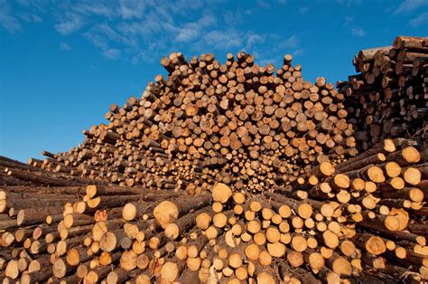 Canadian Shield Natural Resources