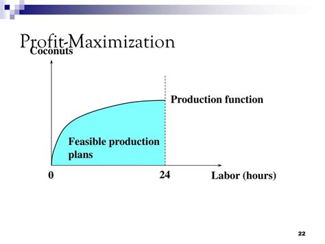 Utility maximization problem Utility Maximization Examples 的图像结果