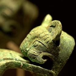 Image result for Ancient Tiger Shell