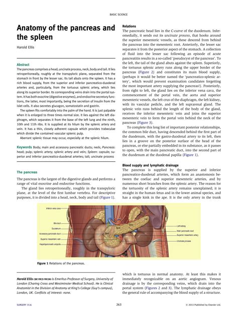 SOLUTION: Anatomy of the pancreas and the spleen - Studypool