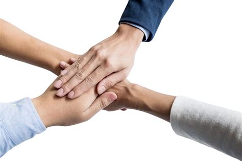 ProfitMax - Trading Education Platform