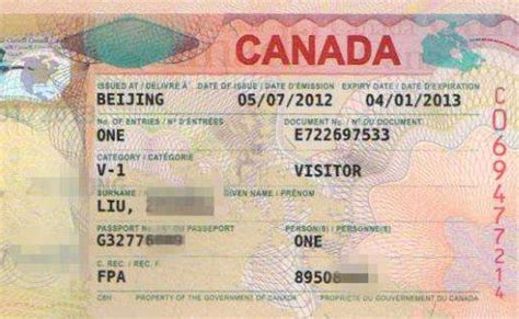 加拿大签证类型v1是什么意思,