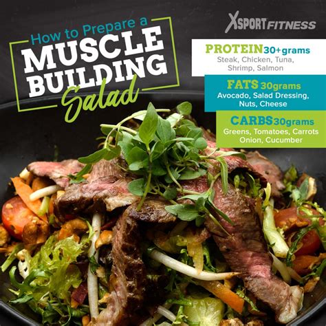 Healthy Salad Recipes & Muscle Building | The XSport Life