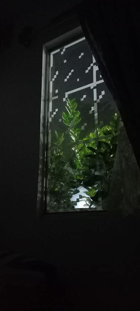 Image result for Minecraft Window Mod