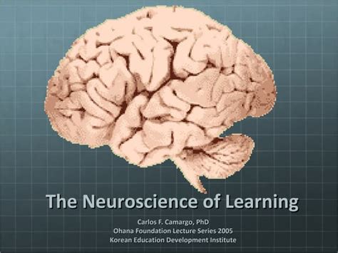 Neuroscience Lesson 的图像结果