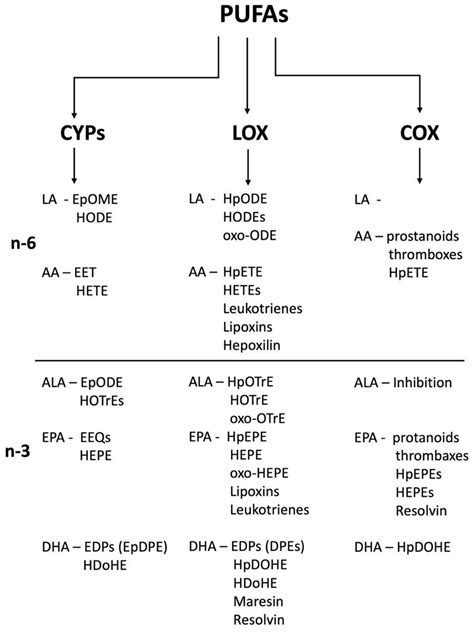 Detoxification Cytochrome P450s (CYPs) in Families 1–3 Produce ...