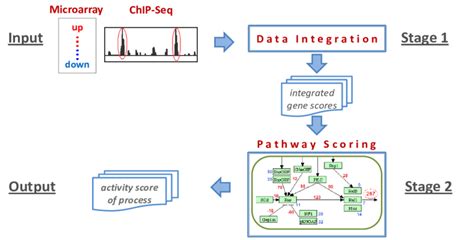Process Flow of the Developed System 的图像结果