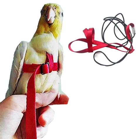 Anelekor Adjustable Birds Harness and Leash Parrot Harness Leash ...