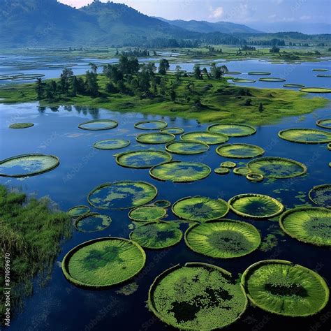 Loktak Lake