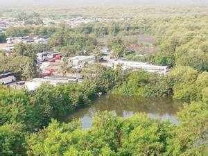 Vanishing wetlands: Indiscriminate development & poor regulation are ...