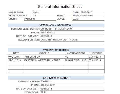 Image result for General Information Sheet Sample