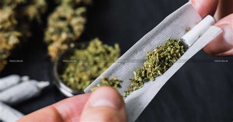 Passenger Trying to Smuggle Hybrid Ganja to UAE Caught at Kochi Airport ...